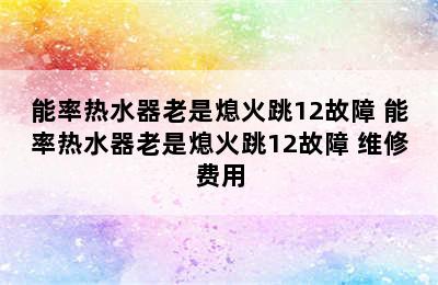 能率热水器老是熄火跳12故障 能率热水器老是熄火跳12故障 维修费用